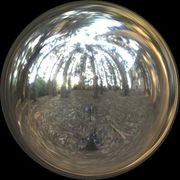 Eucalyptus Grove, UC Berkeley Fichier:PovrayHDRIRnl.hdr