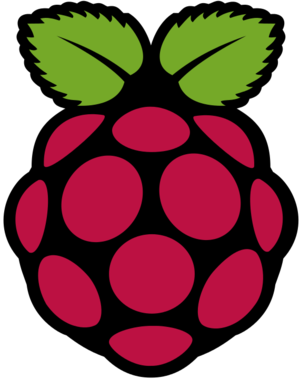 Logo Rasberry Pi